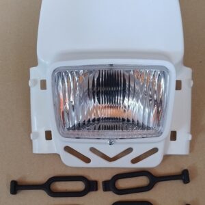 PLAQUE phare trial CEMOTO